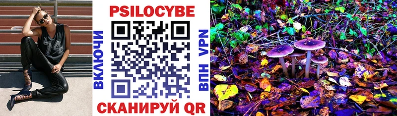 ОМГ ОМГ вход  Сковородино  Псилоцибиновые грибы Psilocybe 