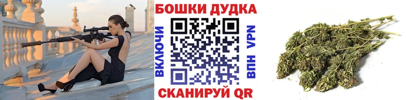 KRAKEN сайт  наркота  Сковородино  Бошки марихуана SATIVA & INDICA 